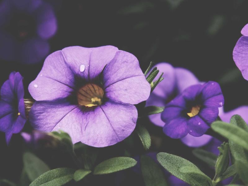 sudoku mental exercise screenshot 6