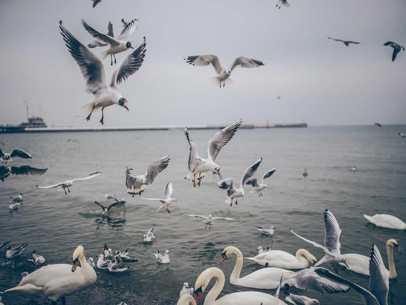 sudoku mental exercise screenshot 4